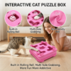 Cat toy maze fun