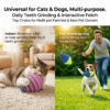 Noise Reduction Cat Toy